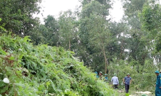 Tăng cường quản lý, bảo vệ và phòng cháy, chữa cháy rừng 